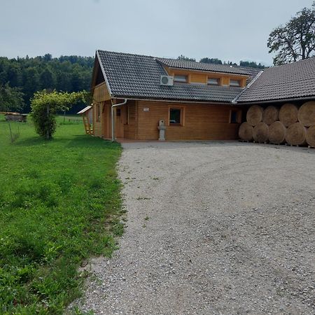 Apartma Markelj Radovljica Exteriör bild